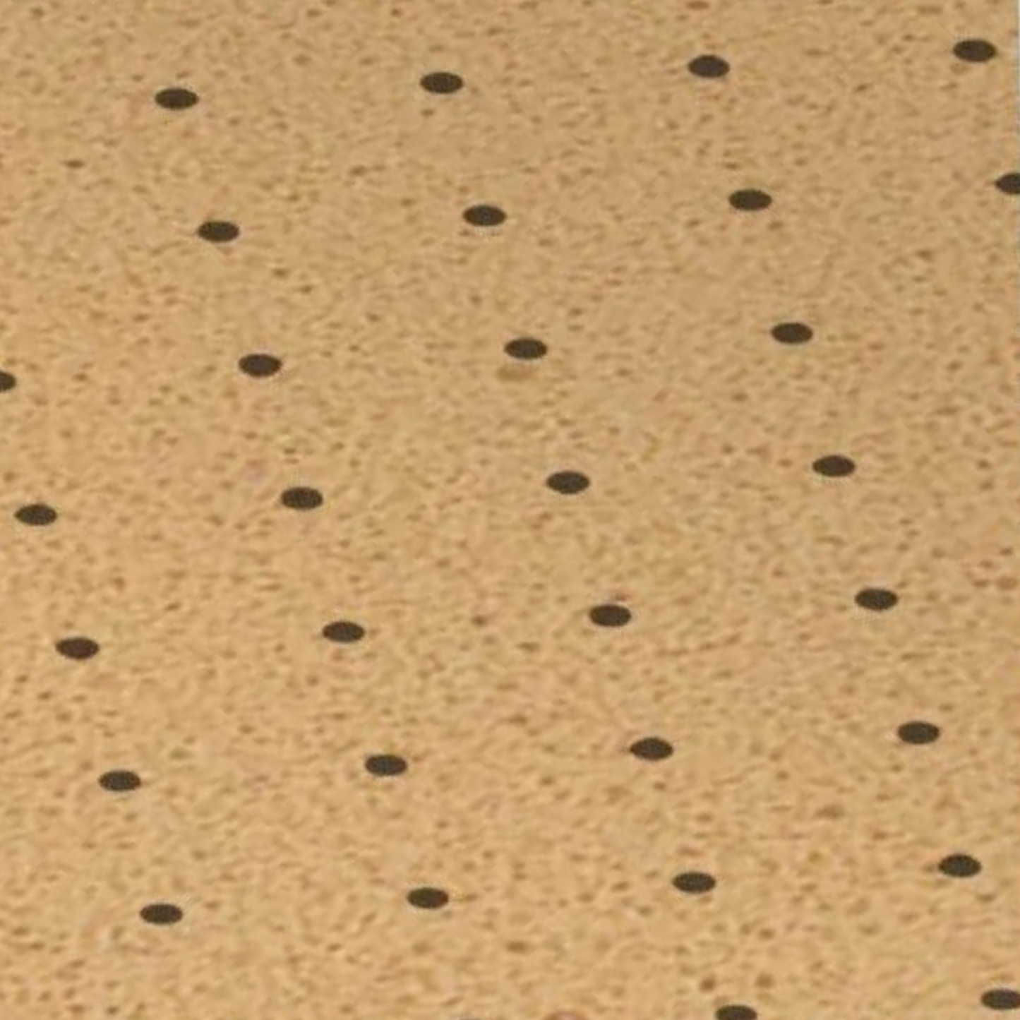 My Rebolastic perforé - EVA - Shore 20 - Propulseur - 2 mm / 3 mm
