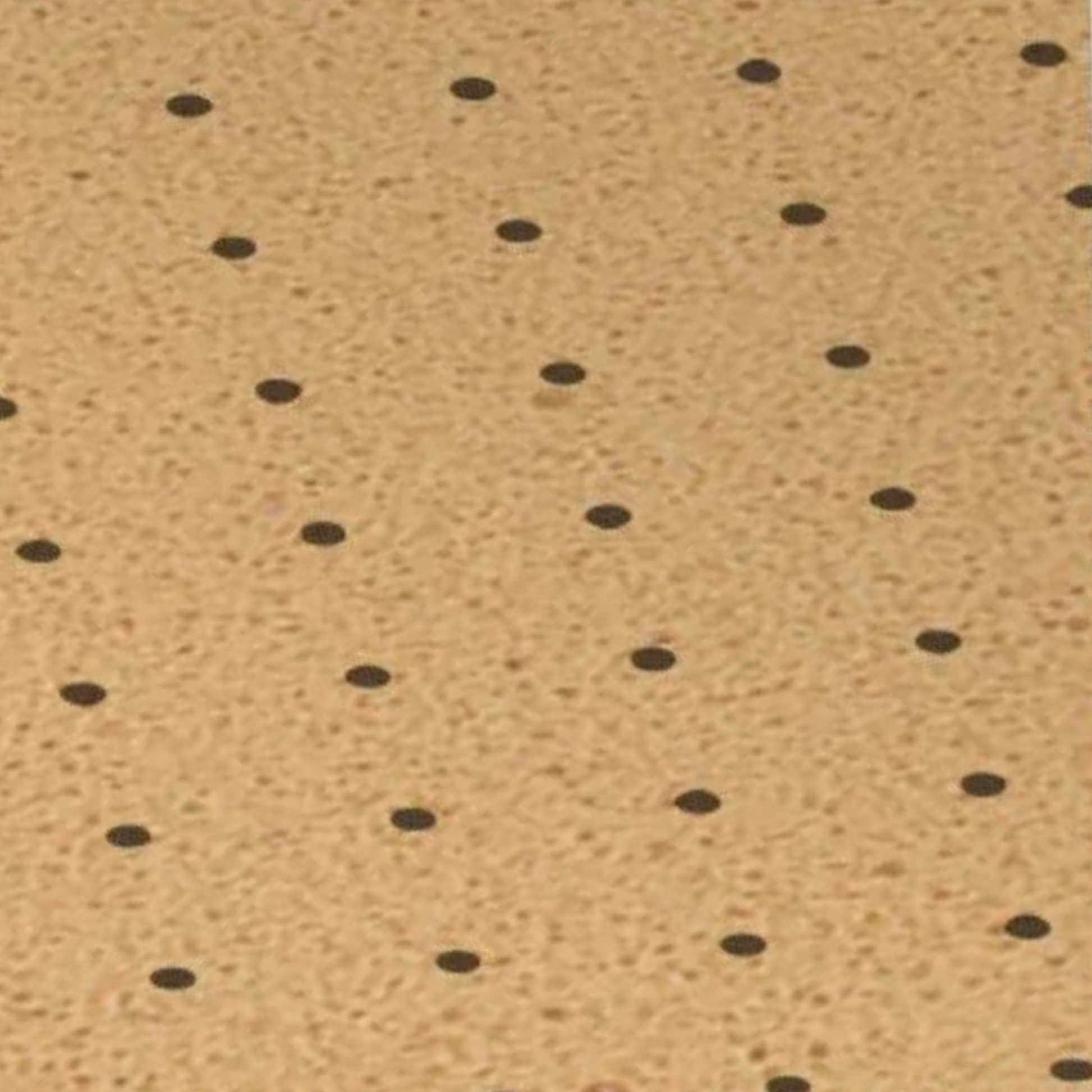 My Rebolastic perforé - EVA - Shore 20 - Propulseur - 2 mm / 3 mm